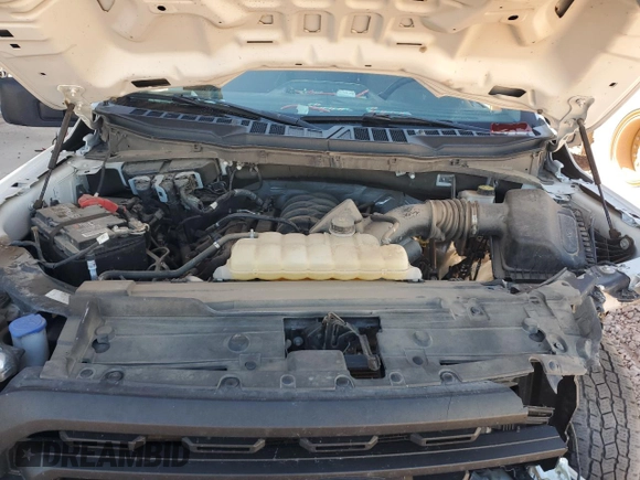 2021 Ford F-150 XL with VIN 1FTMF1C57MKE89519, listed as a Copart auction lot 49420105 with 134,507 mi miles and Salvage title. Bid and sale history available at DreamBid. Image 11.