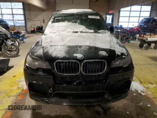 2010 BMW X5 M with VIN 5YMGY0C58ALK25854, listed as a Copart auction lot 87815685 with 0 mi miles and Salvage Title. Bid and sale history available at carsss.com. Image 5.