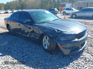 2019 Dodge Charger SXT with VIN 2C3CDXBG2KH695976, listed as a IAAI auction lot 41859947 with 161,093 mi miles and . Bid and sale history available at DreamBid. Image 1.