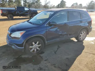 2007 Honda CR-V EX with VIN JHLRE38587C035066, listed as a Copart auction lot 46693885 with 169,776 mi miles and Salvage Title. Bid and sale history available at carsss.com. Image 1.