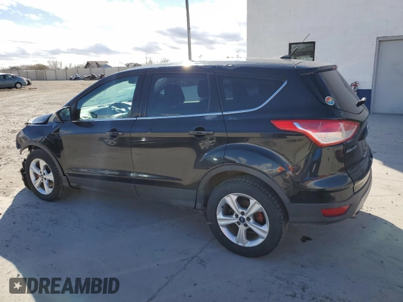 2014 Ford Escape SE with VIN 1FMCU9GX1EUB85485, listed as a Copart auction lot 45764975 with 271,702 mi miles and Salvage Title. Bid and sale history available at DreamBid. Image 2.