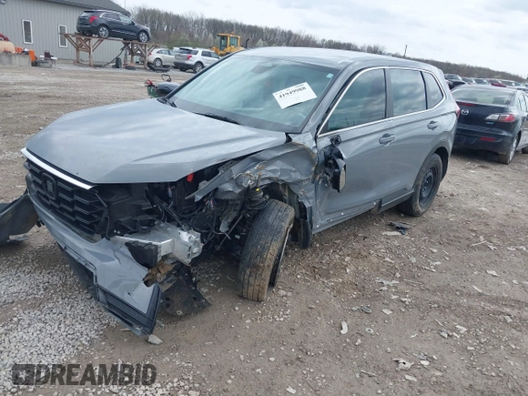 2024 Honda CR-V LX with VIN 2HKRS4H20RH403572, listed as a IAAI auction lot 41949988 with Not Provided miles and . Bid and sale history available at DreamBid. Image 17.