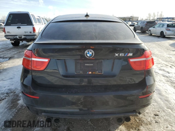 2010 BMW X6 M with VIN 5YMGZ0C57ALK13322, listed as a Copart auction lot 84522144 with 166,677 mi miles and Clean Title. Bid and sale history available at carsss.com. Image 6.