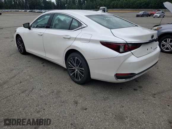 2024 Lexus ES 250 with VIN 58AD11D19RU012276, listed as a Copart auction lot 61096895 with 5,595 mi miles and Salvage title. Bid and sale history available at DreamBid. Image 2.