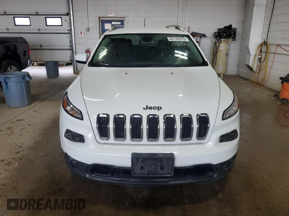 2017 Jeep Cherokee Latitude with VIN 1C4PJLCB9HD233423, listed as a Copart auction lot 53133315 with 113,150 mi miles and Salvage Title. Bid and sale history available at carsss.com. Image 5.