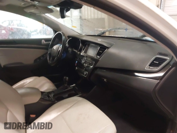 2015 Kia Cadenza Premium with VIN KNALN4D77F5194340, listed as a IAAI auction lot 41360457 with 132,534 mi miles. Bid and sale history available at carsss.com. Image 5.