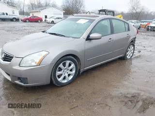 2008 Nissan Maxima 3.5 SL with VIN 1N4BA41E08C816374, listed as a IAAI auction lot 41557260 with 204,207 mi miles. Bid and sale history available at carsss.com. Image 2.