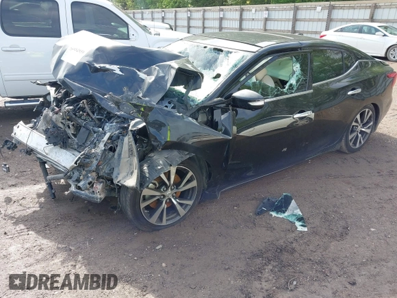 2017 Nissan Maxima S with VIN 1N4AA6AP1HC430040, listed as a IAAI auction lot 42052959 with Not Provided miles and . Bid and sale history available at DreamBid. Image 2.