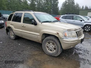 1999 Jeep Grand Cherokee Limited with VIN 1J4GW68N2XC581746, listed as a Copart auction lot 45413775 with 284,226 mi miles and Salvage Title. Bid and sale history available at carsss.com. Image 4.