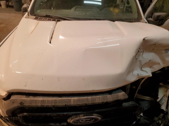 2022 Ford F-150 XL with VIN 1FTFX1E50NFA19636, listed as a Copart auction lot 44251395 with 49,155 mi miles and Salvage title. Bid and sale history available at DreamBid. Image 11.