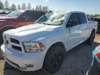 2010 Dodge 1500 Laramie with VIN 1D7RV1CT2AS224130, listed as a Copart auction lot 50660324 with 163,759 mi miles and Salvage Title. Bid and sale history available at DreamBid. Image 1.