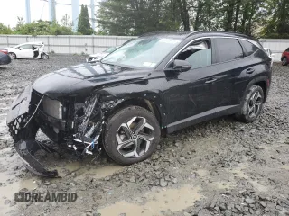 2023 Hyundai Tucson SEL z VIN 5NMJFCAEXPH246692, wystawiony jako Copart lot #58035975 z przebiegiem 37 380 mil mil oraz Szkoda całkowita • Salvage title. Historia ofert i sprzedaży dostępna na DreamBid. Obrazek 1.