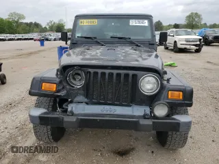 2002 Jeep Wrangler Sahara with VIN 1J4FA59S22P771136, listed as a Copart auction lot 51528665 with 236,882 mi miles and Salvage title. Bid and sale history available at DreamBid. Image 5.