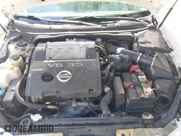 2004 Nissan Maxima SL with VIN 1N4BA41E24C882953, listed as a IAAI auction lot 42128172 with 190,413 mi miles and . Bid and sale history available at DreamBid. Image 10.