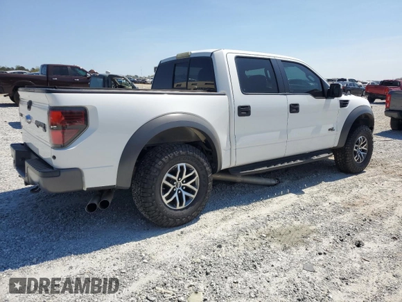 2014 Ford F-150 SVT Raptor with VIN 1FTFW1R67EFB76604, listed as a Copart auction lot 50580885 with 150,377 mi miles and Salvage Title. Bid and sale history available at carsss.com. Image 3.