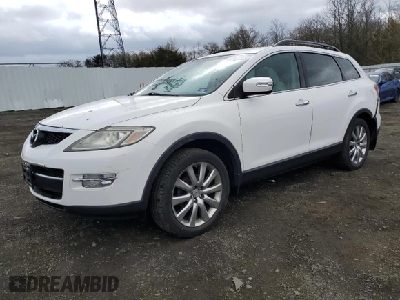2009 Mazda CX-9 Touring with VIN JM3TB38V190176519, listed as a Copart auction lot 51087505 with 123,771 mi miles and Salvage Title. Bid and sale history available at carsss.com. Image 1.
