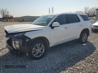 2020 Hyundai Palisade SE z VIN KM8R1DHE7LU065593, wystawiony jako Copart lot #48749965 z przebiegiem 116 033 mil mil oraz Szkoda całkowita • Salvage title. Historia ofert i sprzedaży dostępna na DreamBid. Obrazek 1.