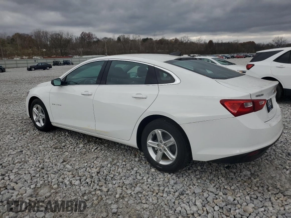 2024 Chevrolet Malibu LS with VIN 1G1ZC5ST9RF210134, listed as a Copart auction lot 79671434 with Not Provided miles and Salvage Title. Bid and sale history available at DreamBid. Image 2.