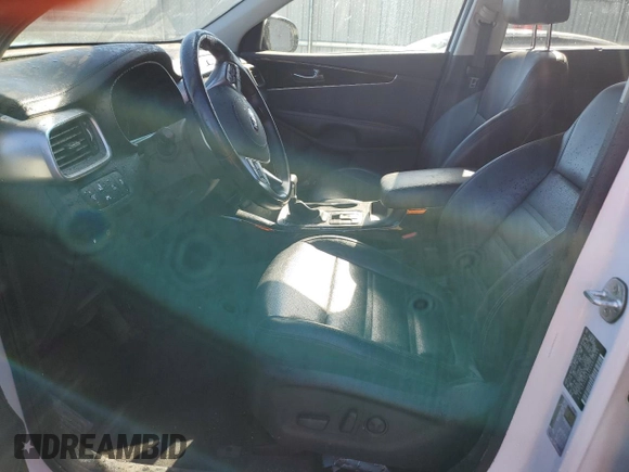 2019 Kia Sorento EX with VIN 5XYPHDA52KG473095, listed as a Copart auction lot 45869305 with 80,130 mi miles and Clean Title. Bid and sale history available at DreamBid. Image 7.