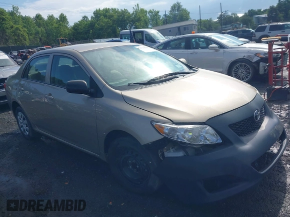 2010 Toyota Corolla with VIN 2T1BU4EEXAC250300, listed as a IAAI auction lot 42731525 with 58,548 mi miles and . Bid and sale history available at DreamBid. Image 1.