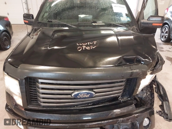2012 Ford F-150 XL with VIN 1FTFX1EF8CFA73434, listed as a IAAI auction lot 40370165 with 128,733 mi miles. Bid and sale history available at carsss.com. Image 10.
