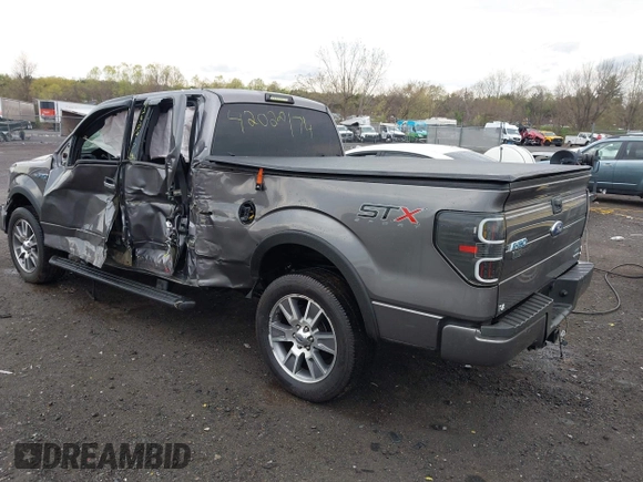 2014 Ford F-150 XL with VIN 1FTEX1CM7EFB26396, listed as a IAAI auction lot 42028174 with 51,280 mi miles. Bid and sale history available at carsss.com. Image 3.