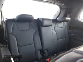 2025 Kia Telluride SX-Prestige X-Line with VIN 5XYP5DGCXSG579857, listed as a IAAI auction lot 42213332 with 4,738 mi miles and . Bid and sale history available at DreamBid. Image 17.
