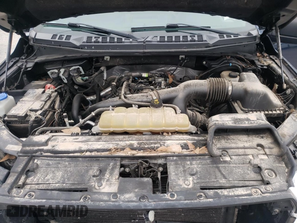 2019 Ford F-150 XL with VIN 1FTEX1EP1KKC63781, listed as a Copart auction lot 42673245 with Not Provided miles and Salvage Title. Bid and sale history available at carsss.com. Image 12.