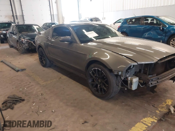 2013 Ford Mustang V6 with VIN 1ZVBP8AM3D5242145, listed as a IAAI auction lot 41626383 with 104,685 mi miles and . Bid and sale history available at DreamBid. Image 1.