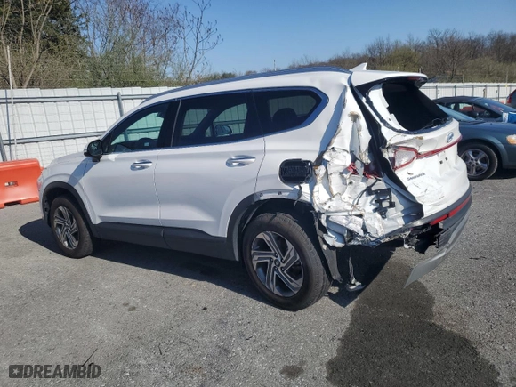 2023 Hyundai Santa Fe SEL with VIN 5NMS2DAJ1PH559794, listed as a Copart auction lot 52722955 with 46,884 mi miles and Salvage Title. Bid and sale history available at carsss.com. Image 2.