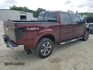 2009 Ford F-150 XL with VIN 1FTPW14V49FA35949, listed as a Copart auction lot 55382805 with 160,445 mi miles and Salvage title. Bid and sale history available at DreamBid. Image 3.