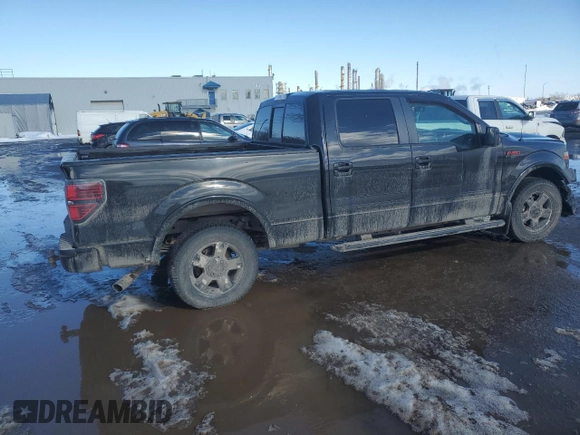 2013 Ford F-150 XL with VIN 1FTFW1CF2DFD07185, listed as a Copart auction lot 46261025 with 282,067 mi miles and Salvage Title. Bid and sale history available at carsss.com. Image 3.
