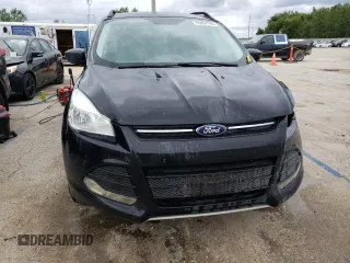 2014 Ford Escape SE with VIN 1FMCU9G99EUE48159, listed as a Copart auction lot 66864794 with 175,990 mi miles and Salvage Title. Bid and sale history available at DreamBid. Image 5.