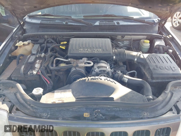 2000 Jeep Grand Cherokee Limited с VIN 1J4GW58N8YC241982, выставлен на аукционе IAAI как лот 42481556 с пробегом 179 233 миль миль и . История ставок и продаж доступна на DreamBid. Изображение 10.