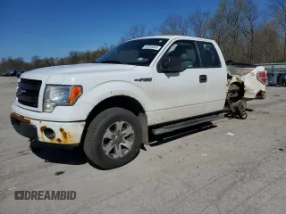 2013 Ford F-150 XL with VIN 1FTFX1EF6DFA23830, listed as a Copart auction lot 53295205 with 139,315 mi miles and Salvage Title. Bid and sale history available at carsss.com. Image 1.