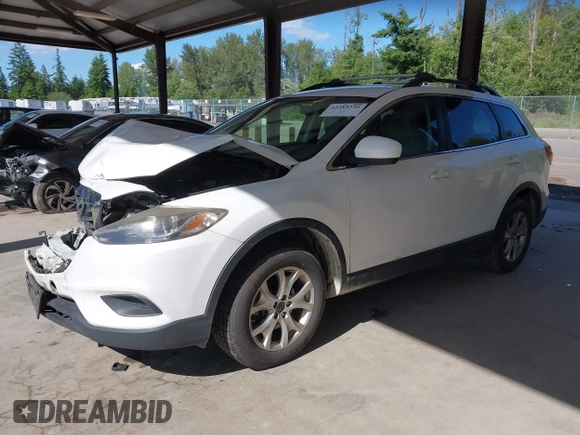 2013 Mazda CX-9 Touring with VIN JM3TB3CV7D0404510, listed as a IAAI auction lot 42385230 with 182,233 mi miles and . Bid and sale history available at DreamBid. Image 18.