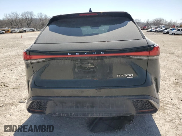 2023 Lexus RX with VIN 2T2BAMCA6PC016958, listed as a Copart auction lot 48016205 with 30,044 mi miles and Salvage Title. Bid and sale history available at carsss.com. Image 6.