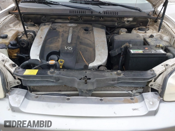 2003 Hyundai Santa Fe GLS with VIN KM8SC13E33U520344, listed as a IAAI auction lot 41528796 with 246,923 mi miles. Bid and sale history available at carsss.com. Image 10.