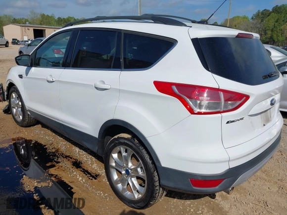2013 Ford Escape SE with VIN 1FMCU0GX2DUB60296, listed as a IAAI auction lot 41955131 with 144,762 mi miles. Bid and sale history available at carsss.com. Image 3.