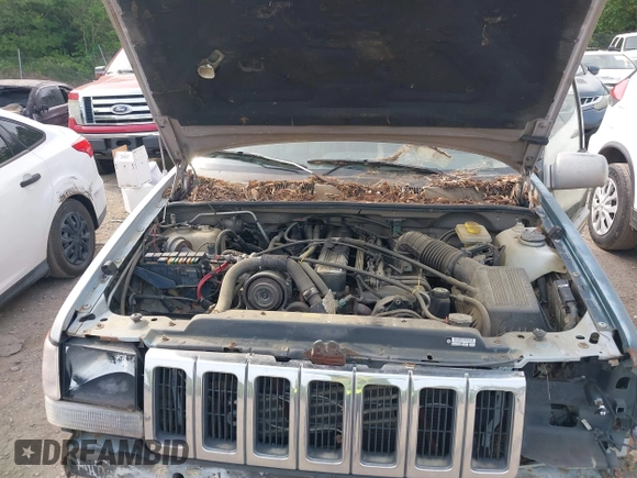 1994 Jeep Grand Cherokee Laredo z VIN 1J4GZ58Y1RC265589, wystawiony jako IAAI lot #42142226 z przebiegiem 138 656 mil mil oraz . Historia ofert i sprzedaży dostępna na DreamBid. Obrazek 9.