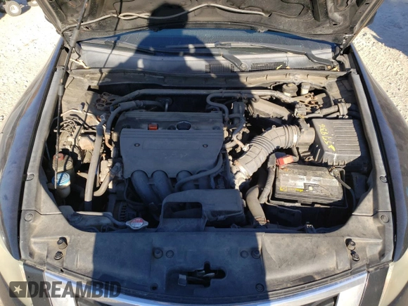 2010 Honda Accord EX with VIN 1HGCP2E75AA161595, listed as a Copart auction lot 77727184 with 269,494 mi miles and Clean title. Bid and sale history available at DreamBid. Image 11.