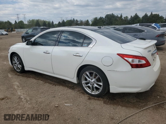 2010 Nissan Maxima SV z VIN 1N4AA5AP5AC864719, wystawiony jako Copart lot #55895605 z przebiegiem 190 020 mil mil oraz Szkoda całkowita • Salvage title. Historia ofert i sprzedaży dostępna na DreamBid. Obrazek 2.