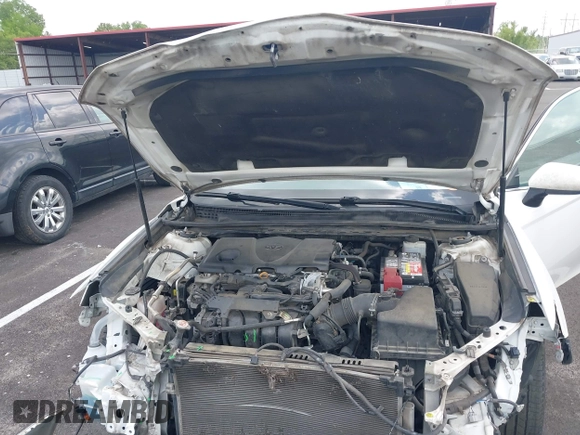 2019 Toyota Camry LE with VIN 4T1B11HK2KU743445, listed as a IAAI auction lot 42129688 with 284,938 mi miles and . Bid and sale history available at DreamBid. Image 10.