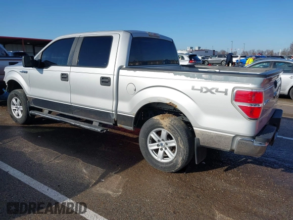 2009 Ford F-150 XL with VIN 1FTPW14V69KC72949, listed as a IAAI auction lot 41108137 with 195,965 mi miles and . Bid and sale history available at DreamBid. Image 3.