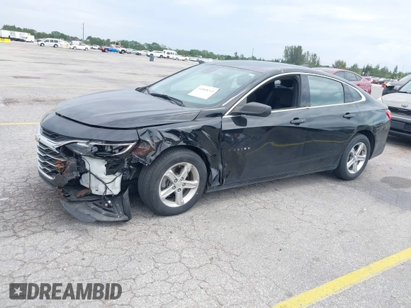 2023 Chevrolet Malibu LS with VIN 1G1ZB5ST0PF124937, listed as a IAAI auction lot 41868219 with 50,851 mi miles and . Bid and sale history available at DreamBid. Image 17.