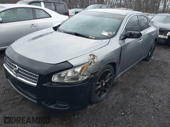 2009 Nissan Maxima SV with VIN 1N4AA51E89C825407, listed as a IAAI auction lot 41865529 with Not Provided miles and . Bid and sale history available at DreamBid. Image 2.