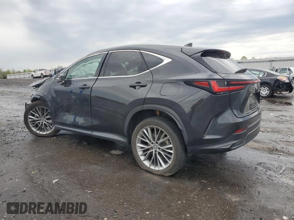 2022 Lexus NX 350h Premium with VIN 2T2GKCEZ8NC008566, listed as a Copart auction lot 53212805 with 44,537 mi miles and Salvage title. Bid and sale history available at DreamBid. Image 2.