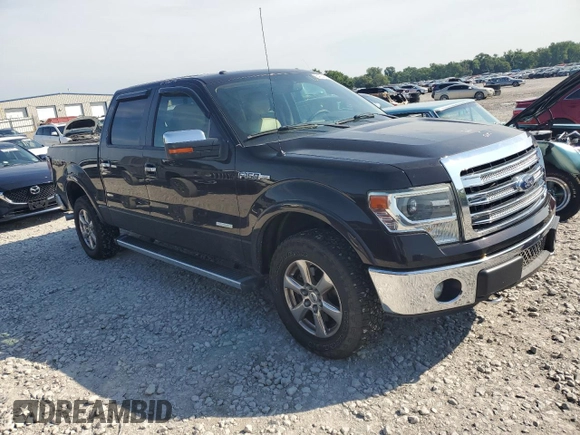 2013 Ford F-150 XL with VIN 1FTFW1ET8DKE61054, listed as a Copart auction lot 64204095 with 124,924 mi miles and Salvage title. Bid and sale history available at DreamBid. Image 4.