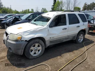 2007 Ford Escape Hybrid with VIN 1FMYU49H87KA81556, listed as a Copart auction lot 60056535 with 240,802 mi miles and Clean title. Bid and sale history available at DreamBid. Image 1.