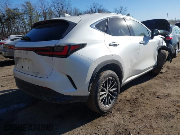 2025 Lexus NX with VIN JTJGGCEZ4S2023563, listed as a IAAI auction lot 41445692 with 210 mi miles. Bid and sale history available at carsss.com. Image 4.